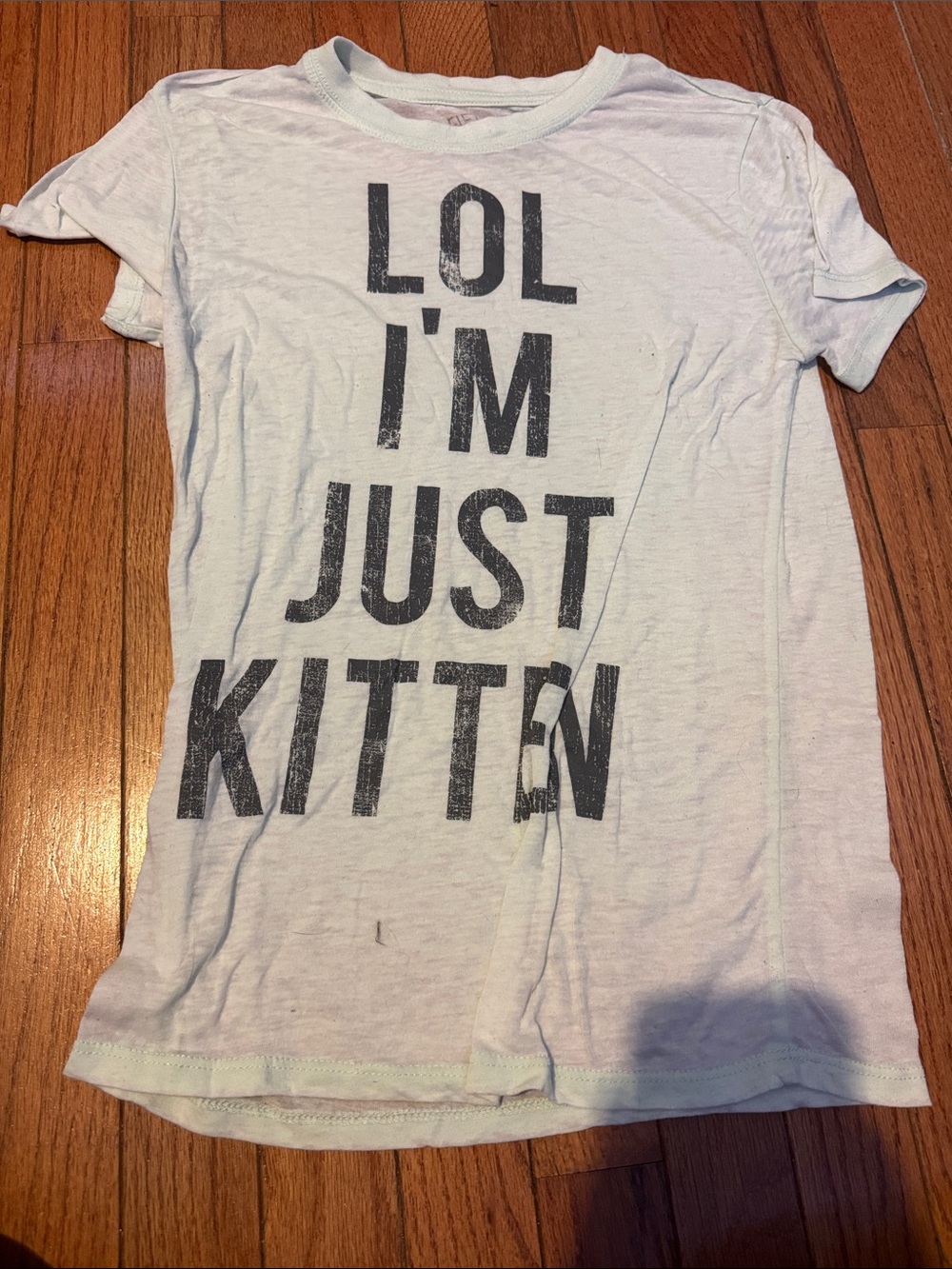Women's Light Mint Graphic Tee - LOL I'M JUST KITTEN